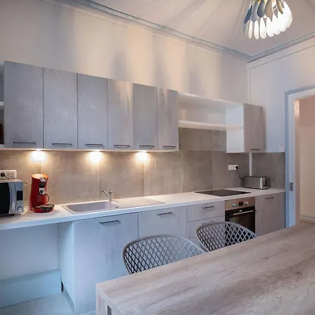 Apartment Spacieux 5 Centre Quartier Tribunal Mulhouse